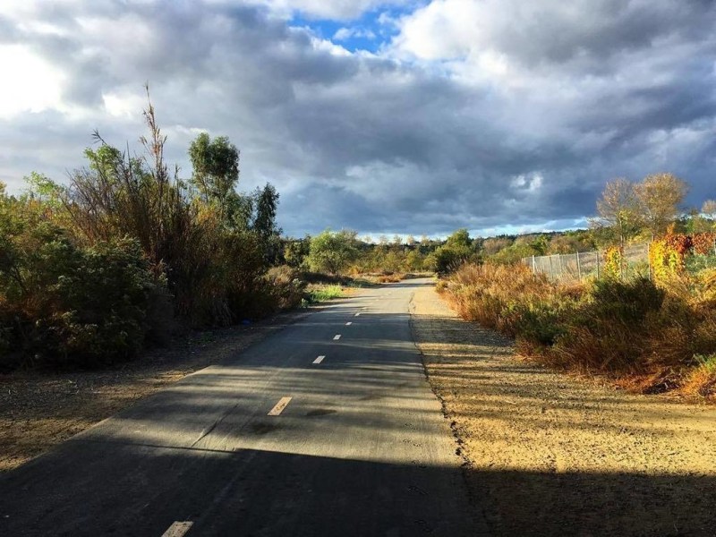 The (Un)Value of&nbsp;Loyalty