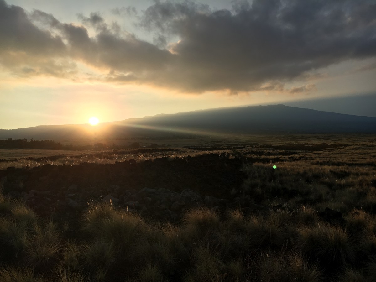 Lay Down Your&nbsp;Sword