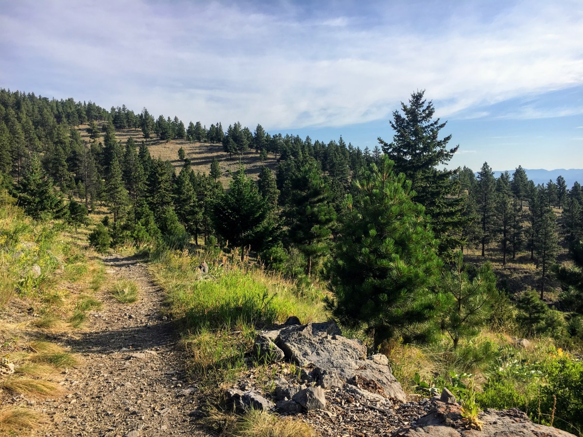 The Stories I Weave&nbsp;Myself