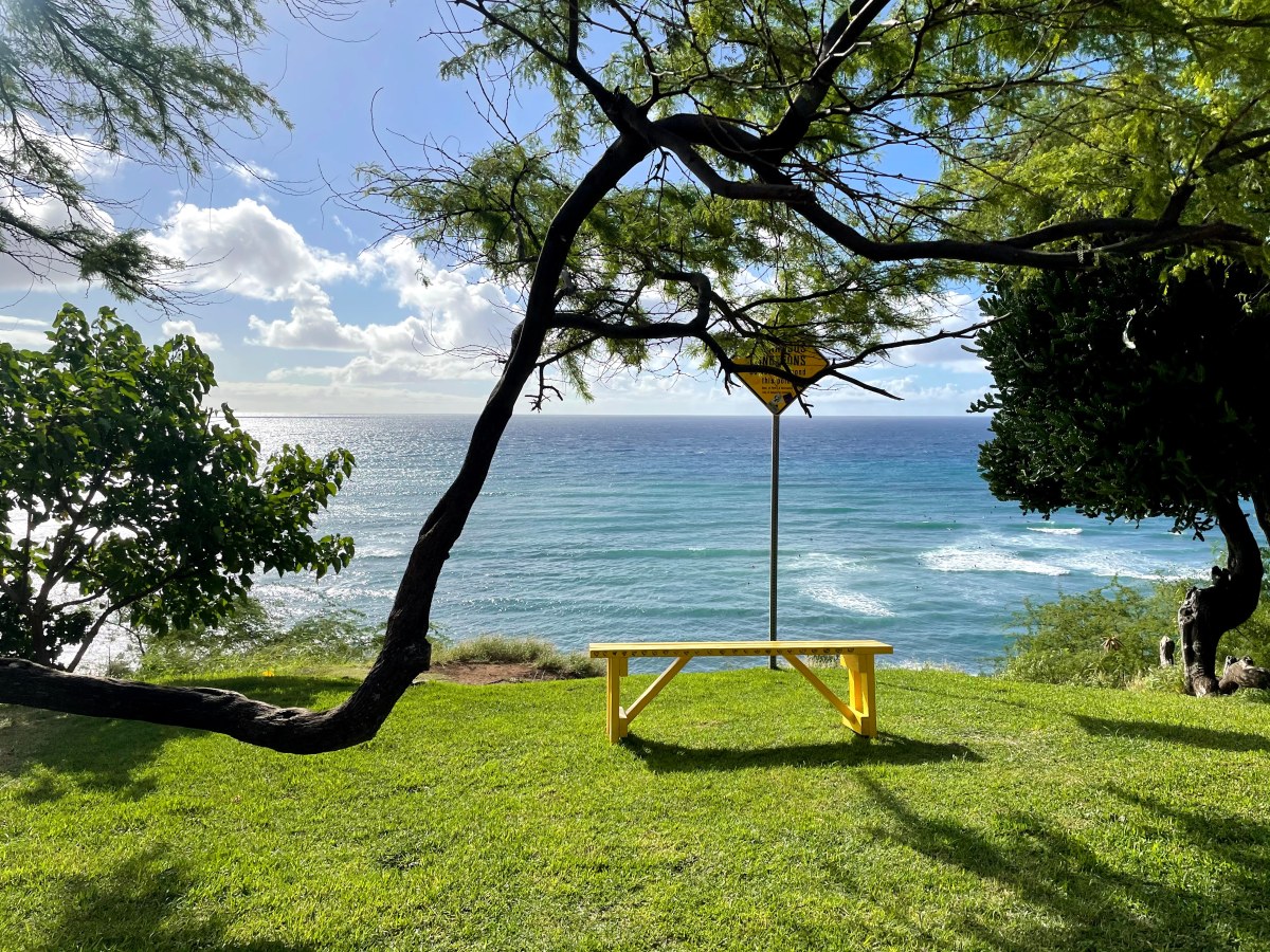 Where Have You Been? Where Are You&nbsp;Going?